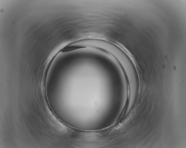 X0000085061293200703121515