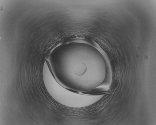 X0000085061298200703121514