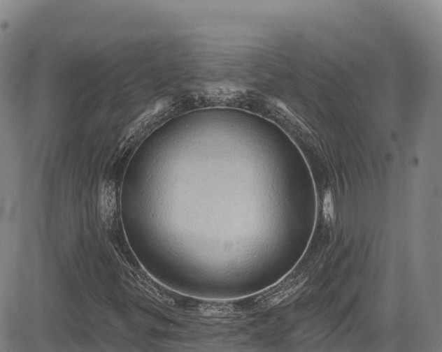 X0000085061299200703121514
