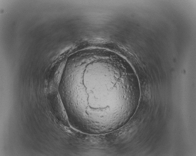 X0000085061301200703121514