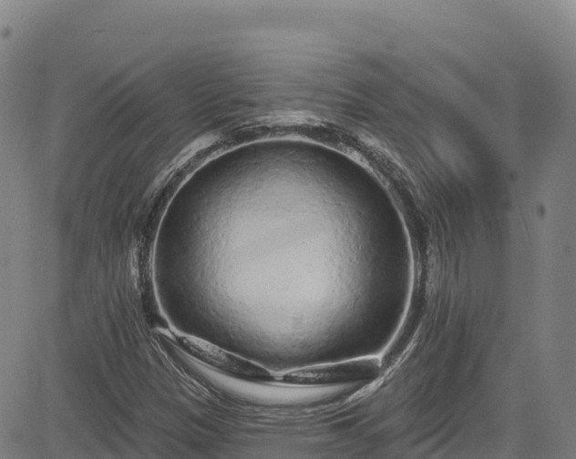 X0000085061305200703121514
