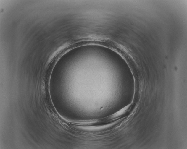 X0000085061307200703121515