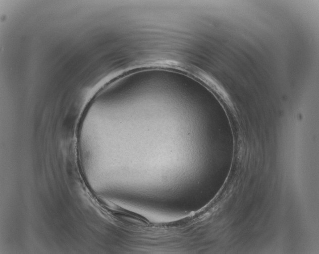 X0000085061332200703121515