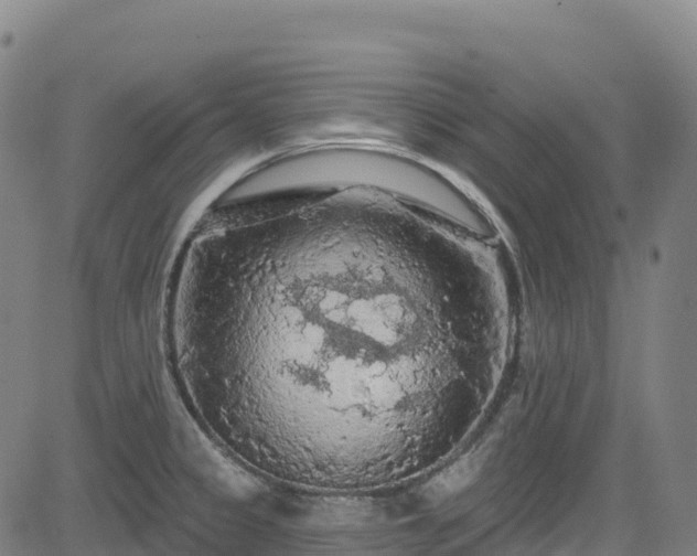 X0000085061333200703121515