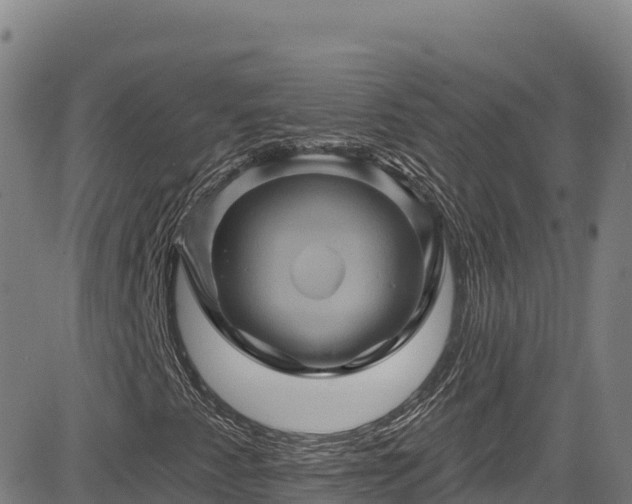 X0000085061345200703121514
