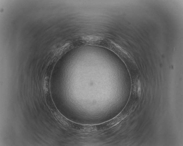 X0000085061346200703121514