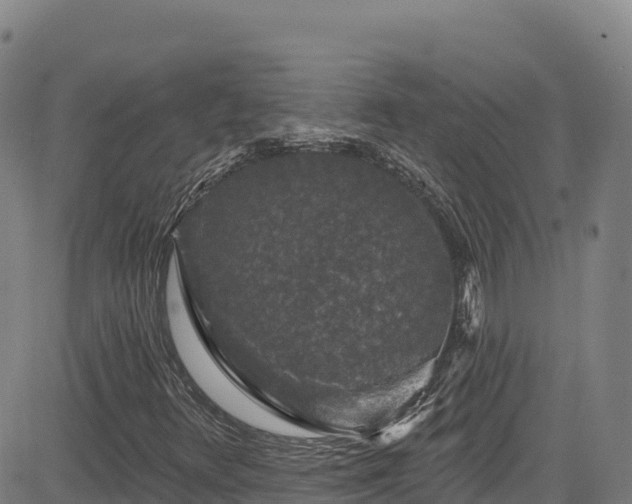 X0000085061348200703121514