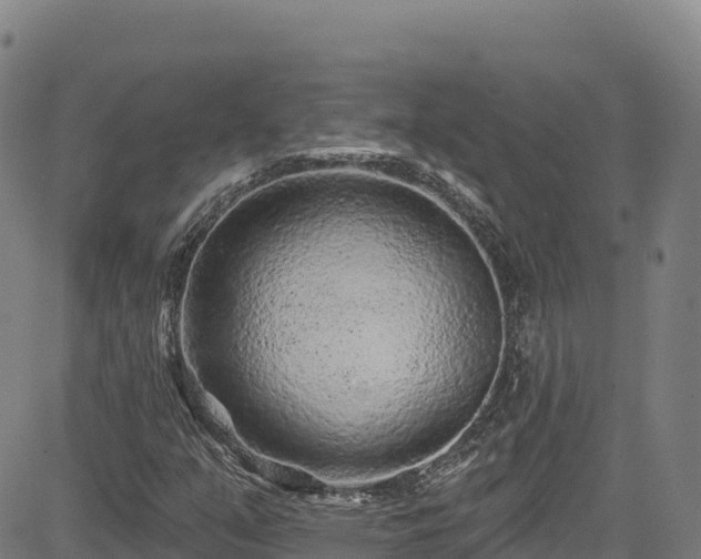 X0000085061351200703121514