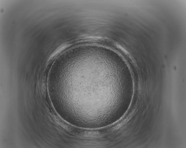 X0000085061354200703121514