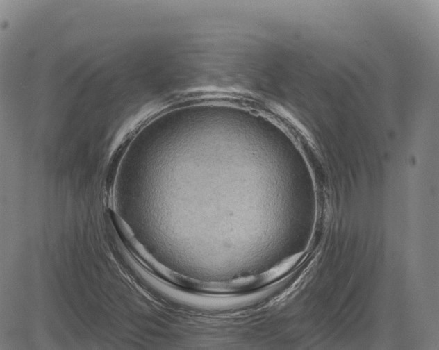 X0000085061357200703121514