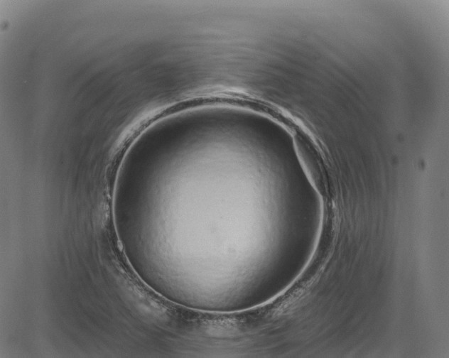 X0000085061363200703121514