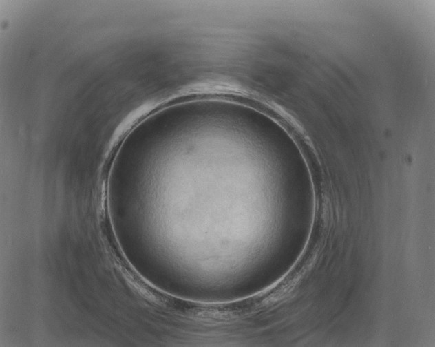 X0000085061366200703121514