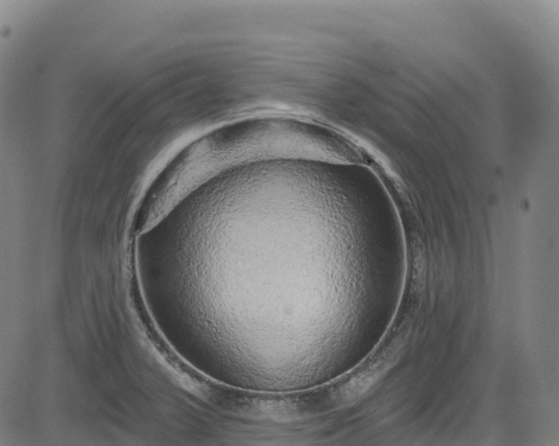 X0000085061375200703121514