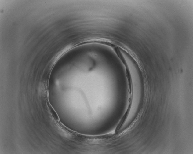 X0000085061377200703121514