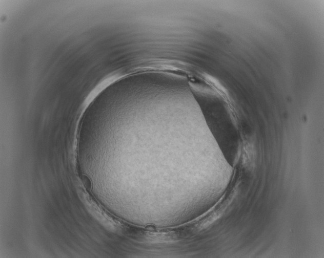 X0000085061378200703121514
