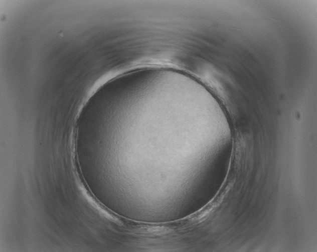 X0000085061382200703121514