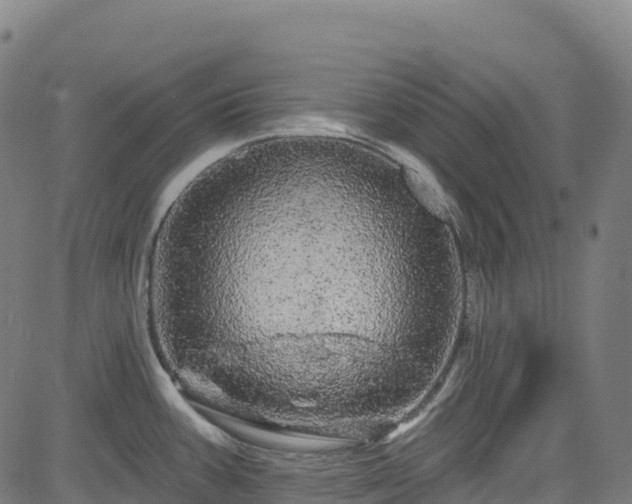 X0000085061387200703121514