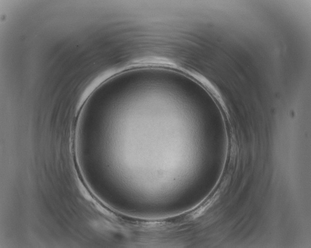 X0000085061390200703121514