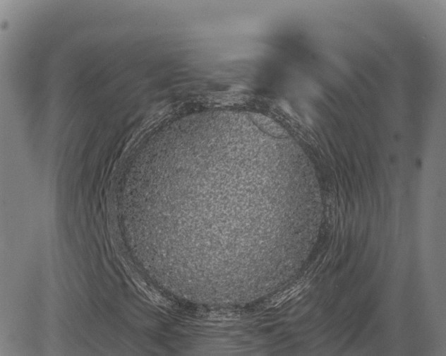 X0000085061393200703121513