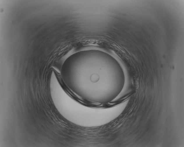 X0000085061394200703121513