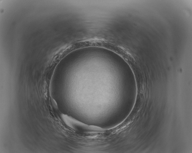 X0000085061398200703121513