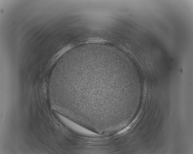 X0000085061401200703121513