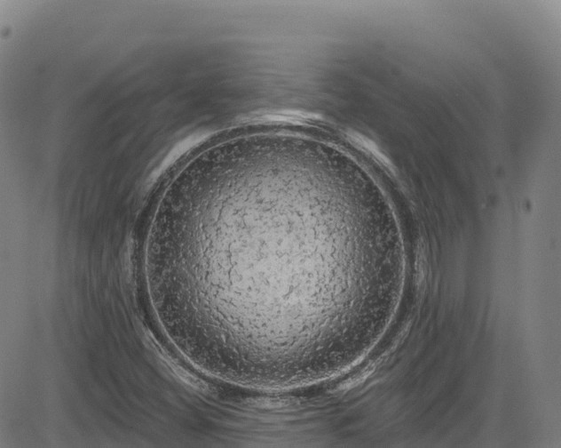 X0000085061404200703121513