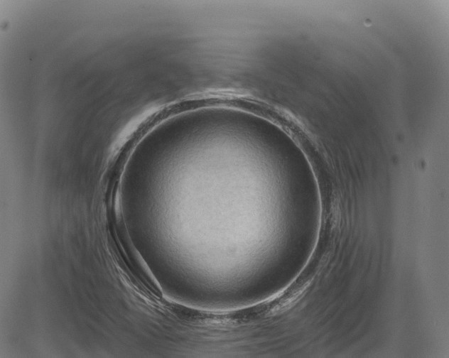 X0000085061406200703121513