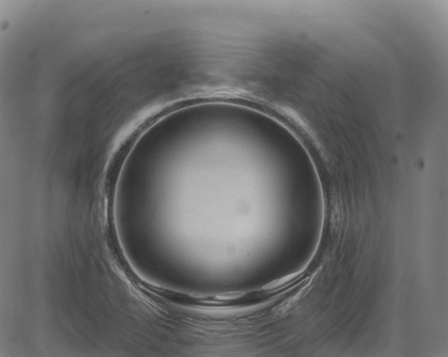 X0000085061414200703121513