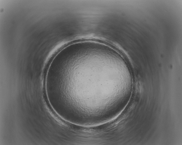 X0000085061416200703121513