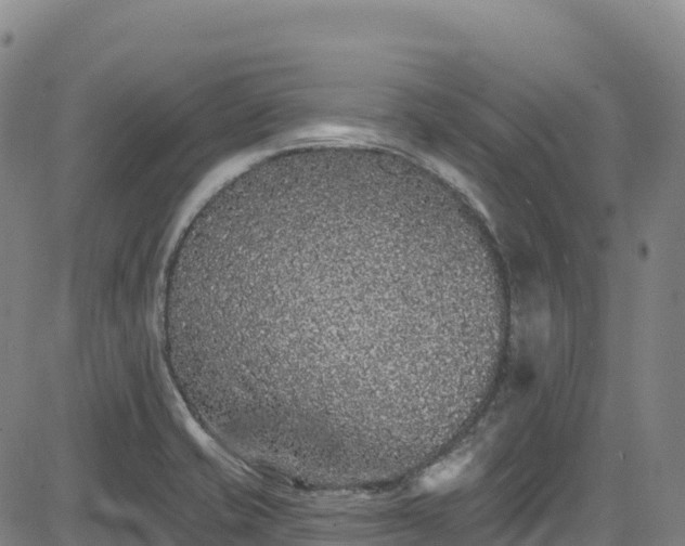 X0000085061421200703121513