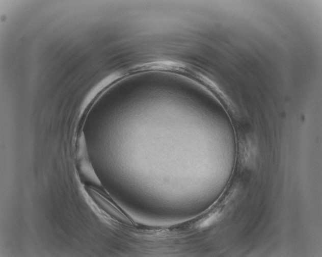 X0000085061426200703121513