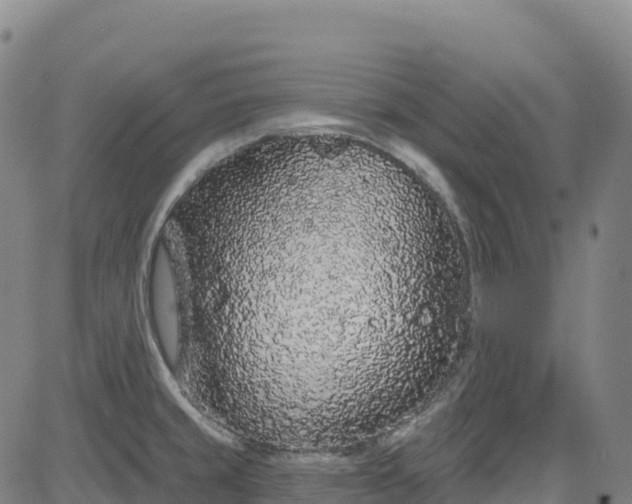X0000085061429200703121513