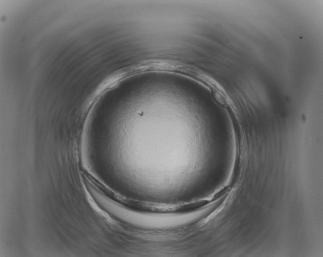X0000085061433200703121513