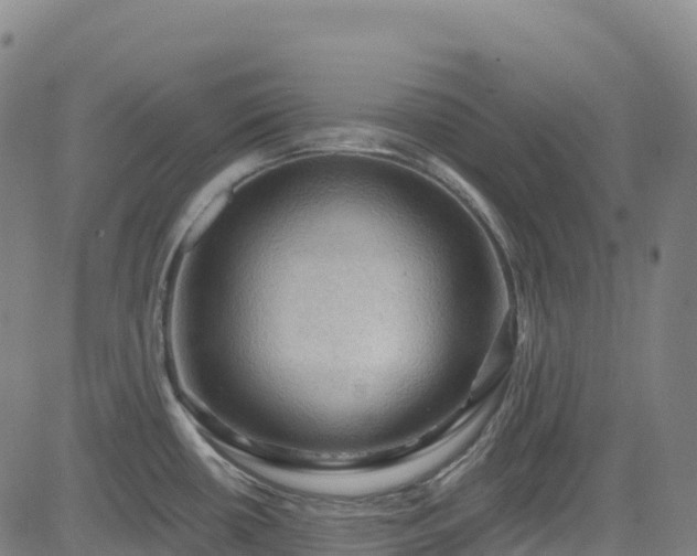 X0000085061434200703121513