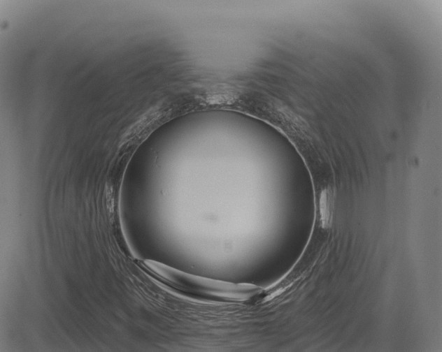 X0000085061443200703121513