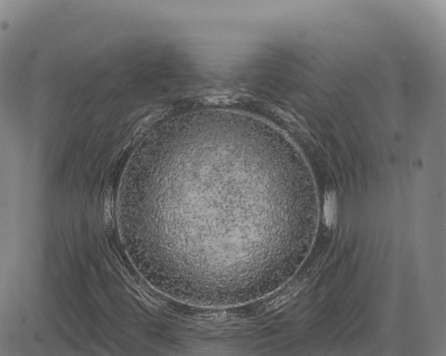 X0000085061444200703121513
