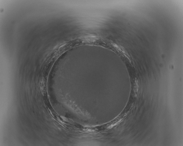 X0000085061445200703121513