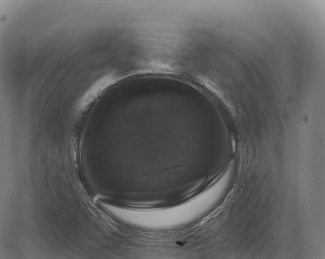 X0000085061455200703121512