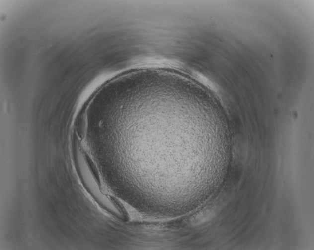X0000085061472200703121512