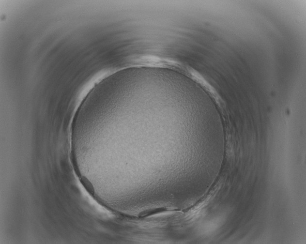 X0000085061479200703121512