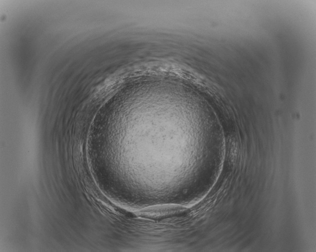 X0000085061489200703121511