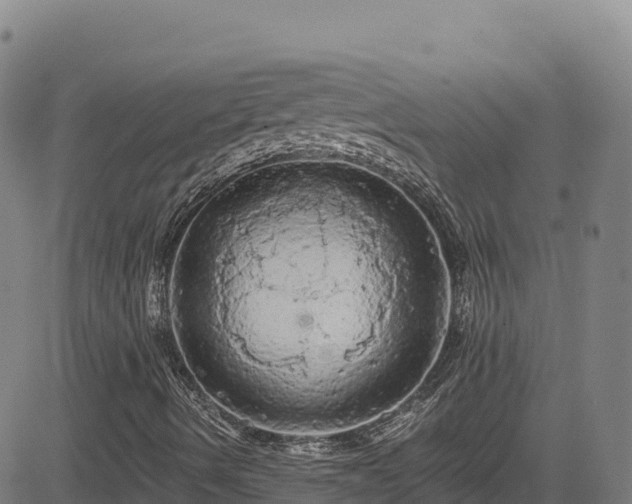 X0000085061490200703121511
