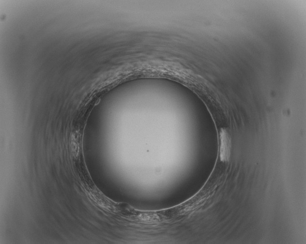 X0000085061491200703121511