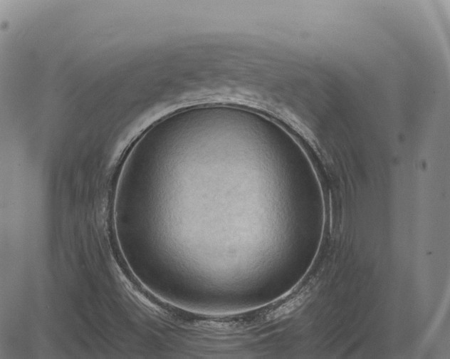 X0000085061500200703121511