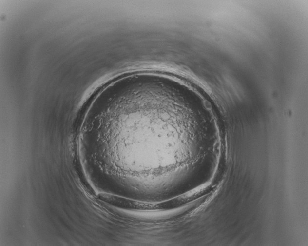 X0000085061501200703121511