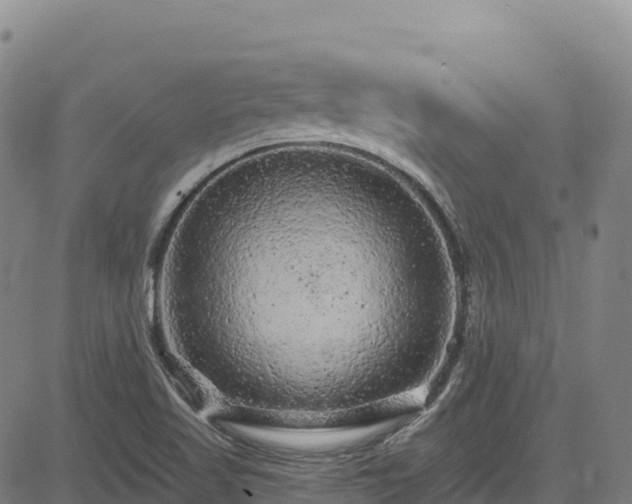 X0000085061509200703121511
