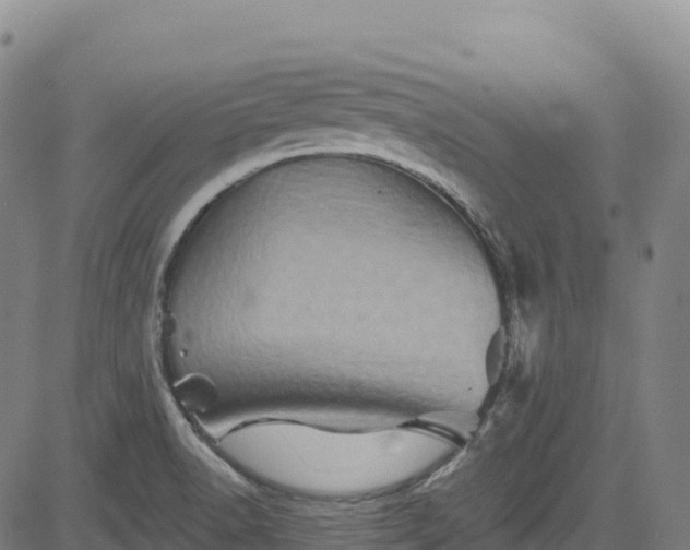 X0000085061518200703121512