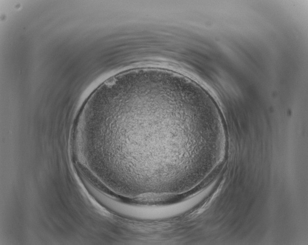 X0000085061533200703121512