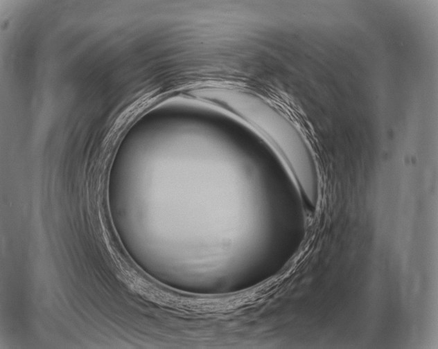 X0000085060001200703191337